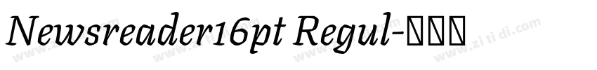 Newsreader16pt Regul字体转换